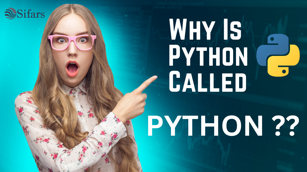 Why Is Python Called Python?